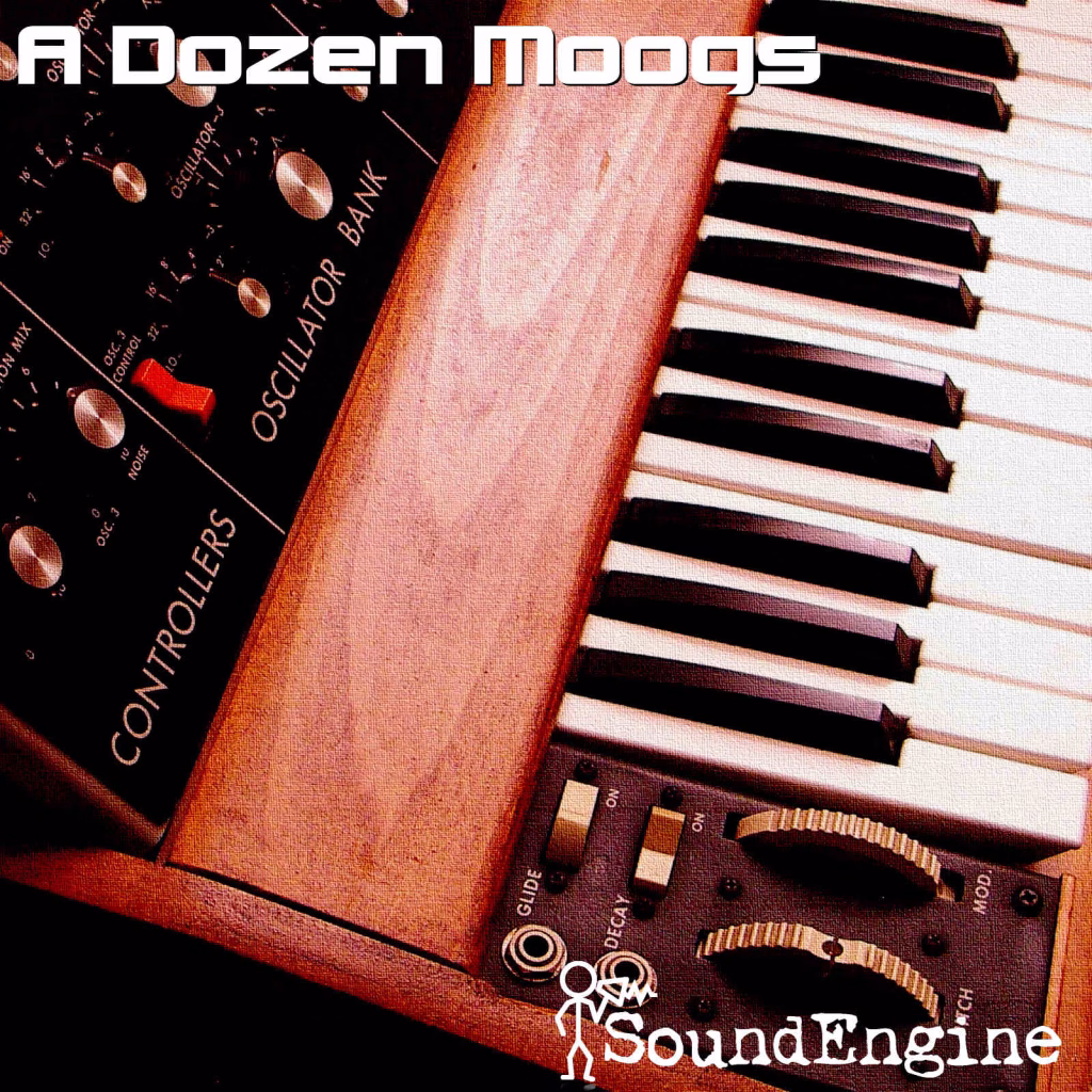A Dozen Moogs sample pack from SoundEngine